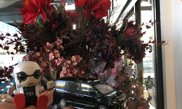 【白山店】綺麗なお花と煌くお車をぜひ見に来て下さい！！
