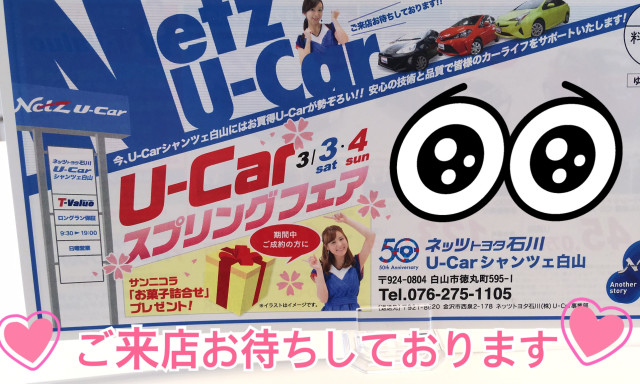 【シャンツェ白山店】スプリングフェアはじまるよ♪