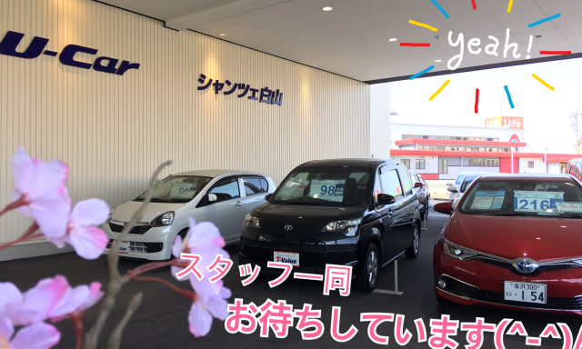 【シャンツェ白山店】桜満開♪桜のようなフレッシュなU-Carそろってます♪