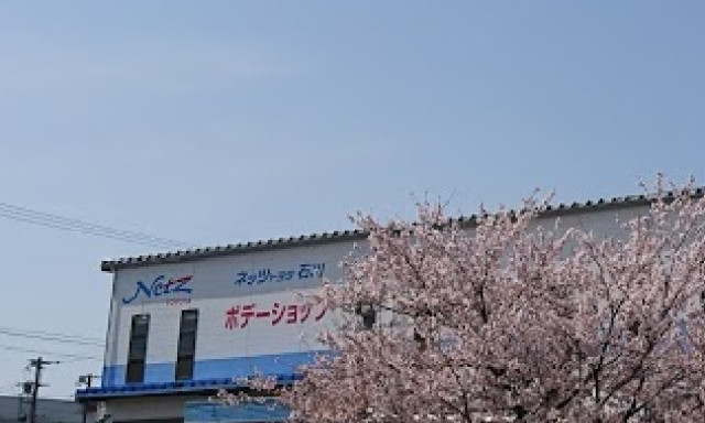 【ボデーショップ】今年の桜 すでに散りましたが・・・