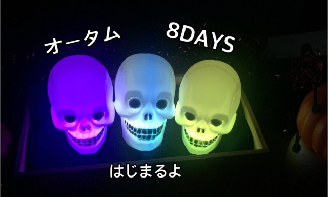 【西泉店】10/6（土）～14（日）ネッツ石川50周年 オータム情熱8DAYSスタート！