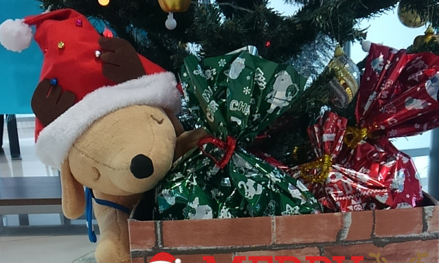【輪島店】クリスマスの飾り付けになっています♫