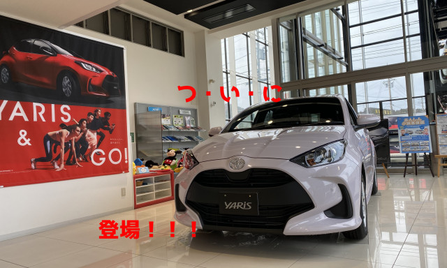 【輪島店】はじめまして！ YARISです☆ミ