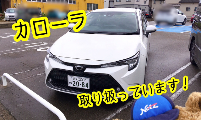 【小松店】小松店に〝カローラ〟の試乗車がやってきました！全車種併売始まりました！