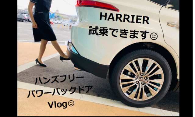 【西泉店】ハリアー試乗できます！！！【Vlog】