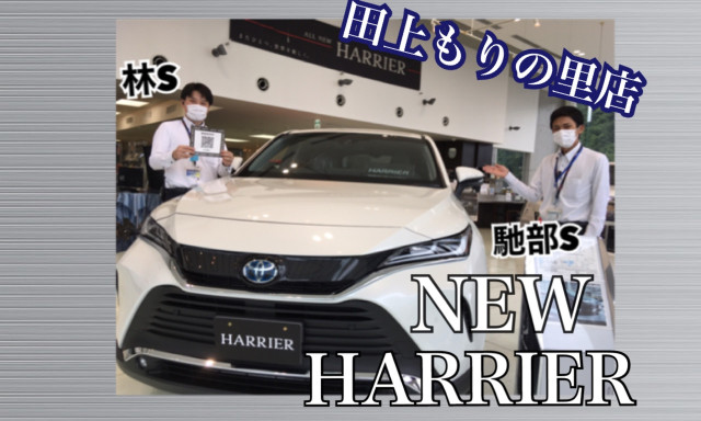 【田上もりの里】NEWハリアー誕生！！展示車あります！！