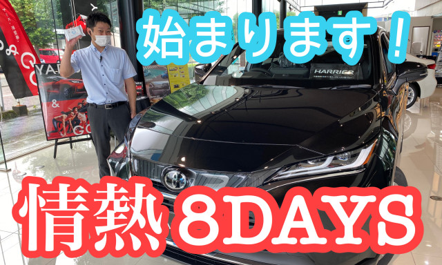 【南店】今週末から情熱8DAYS始まります！