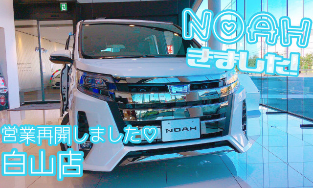 【白山店】展示車NOAH、来ました！