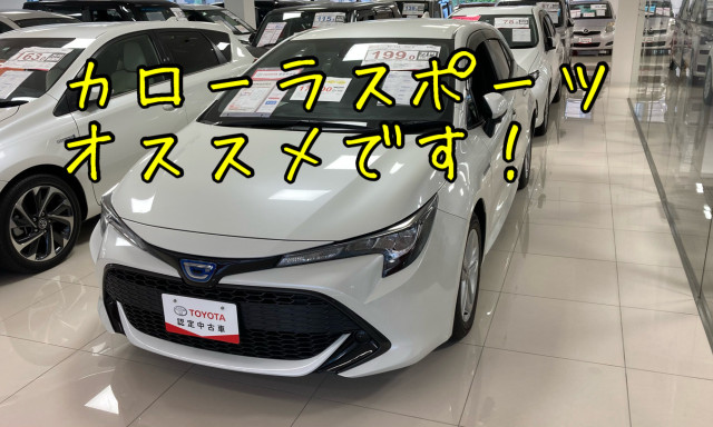 【シャンツェ鞍月】展示車ご紹介♪