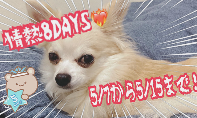 【鞍月店】5／7より情熱8DAYS開催です！【ご成約プレゼント☆彡】