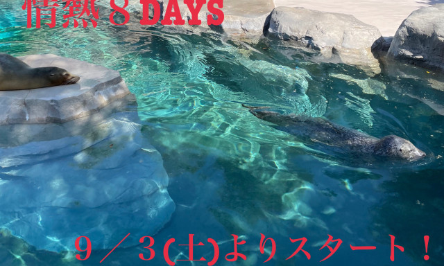 【鞍月店】情熱8daysがはじまります！