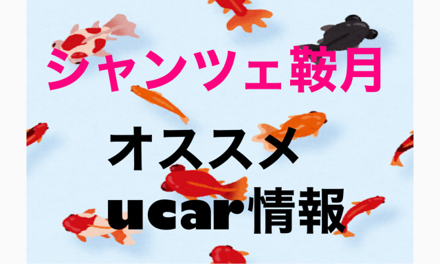 【シャンツェ鞍月】Ucar情報とモフモフ