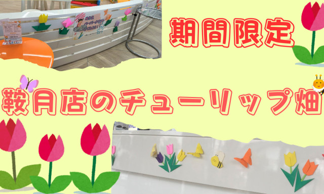 【鞍月店】期間限定のチューリップ畑