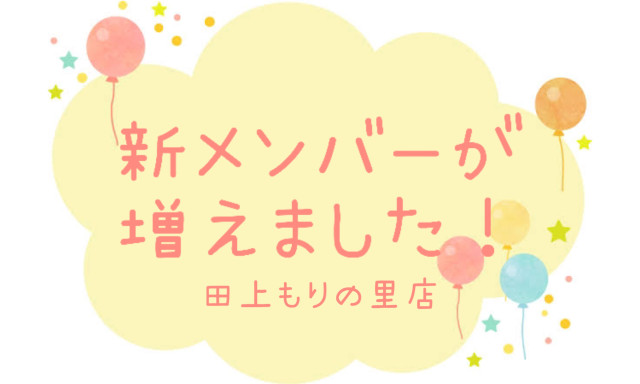 【田上もりの里店】＜＜＜新メンバーが増えました！＞＞＞