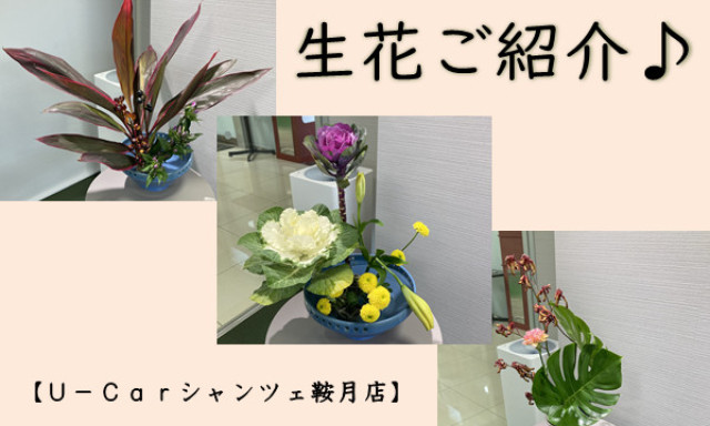 【シャンツェ鞍月】シャンツェ鞍月店の素敵な生け花をご紹介♪