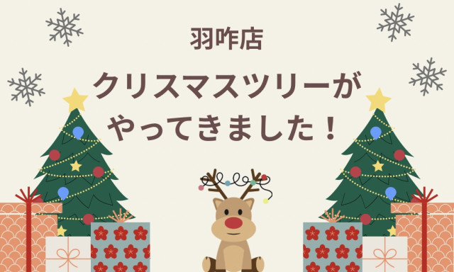 【羽咋店】クリスマスツリーがやってきました
