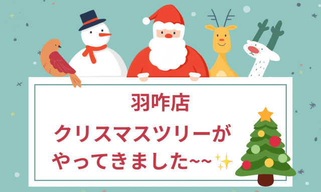 【羽咋店】クリスマスツリーがやってきました