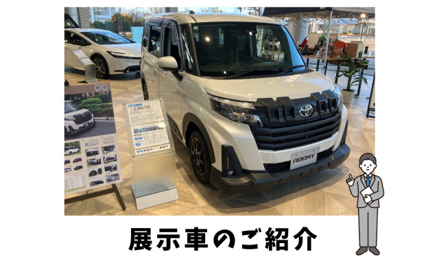 【鞍月店】ROOMY【model LM】のご紹介