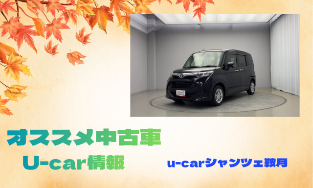 【シャンツェ鞍月】オススメUcar情報☆タンクGSの紹介！