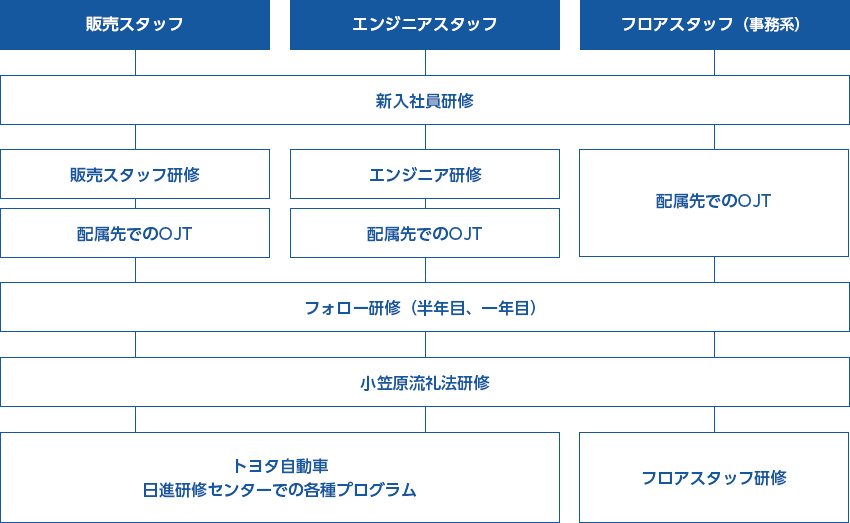 教育研修制度のフロー図