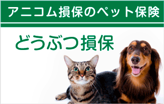 ネッツトヨタ石川株式会社 公式webサイト ネッツトヨタ石川株式会社 公式webサイト