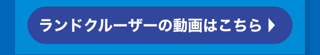 動画はこちら