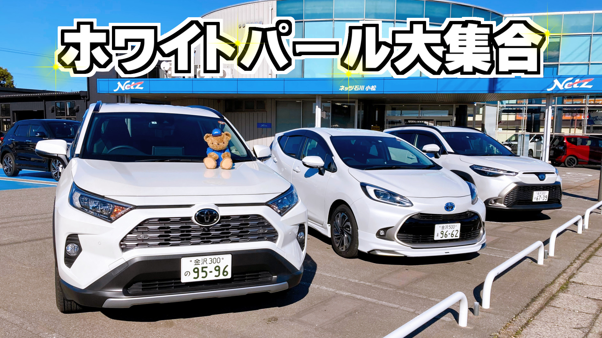 ALCADIA ZR2000 LEGEND 星野金属 ホワイトパールマイカ Yahoo