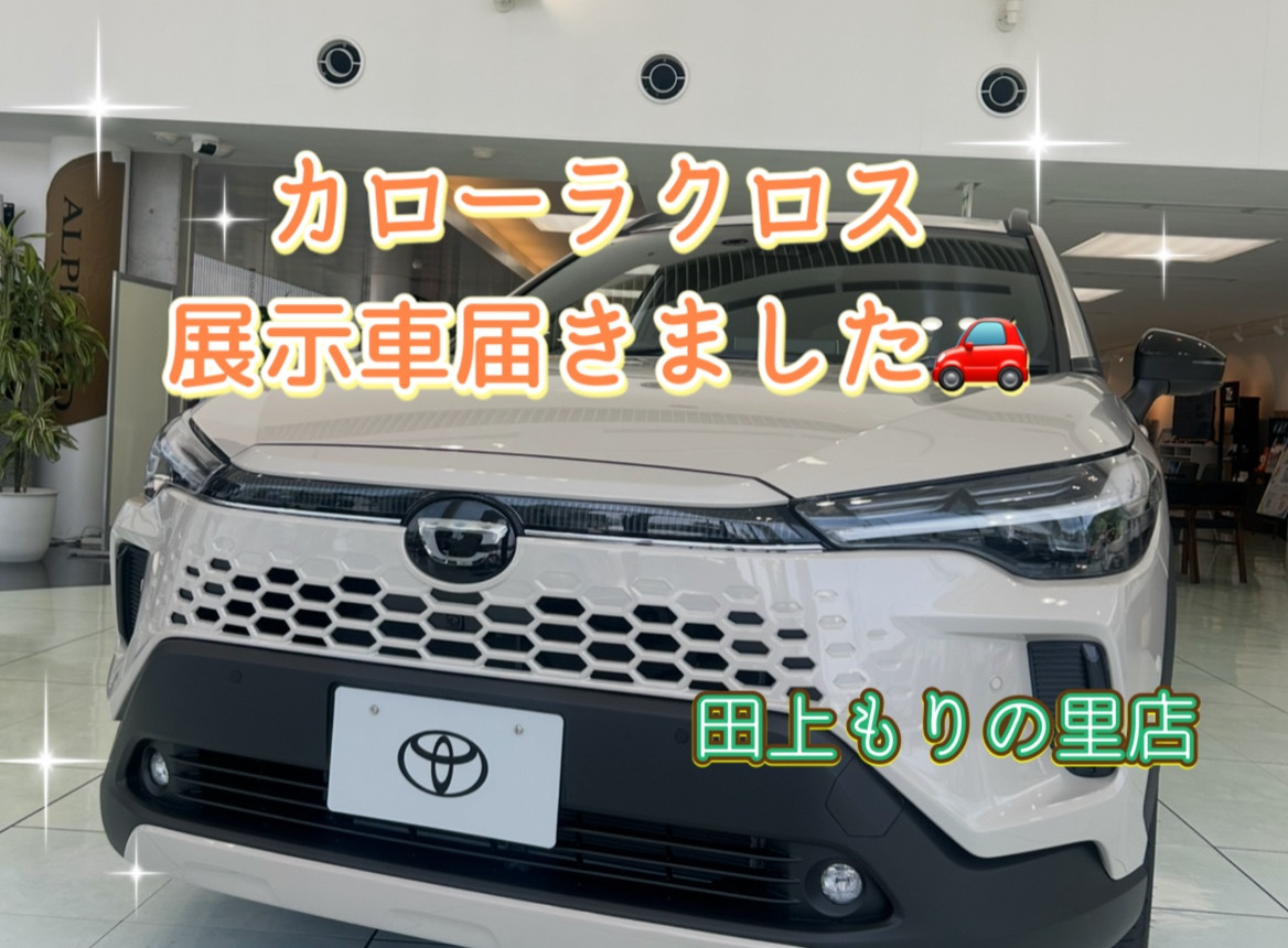 karoroさん確認用 2025年11月発売「1/6衣装カタログ」のご紹介 – アゾンニュース