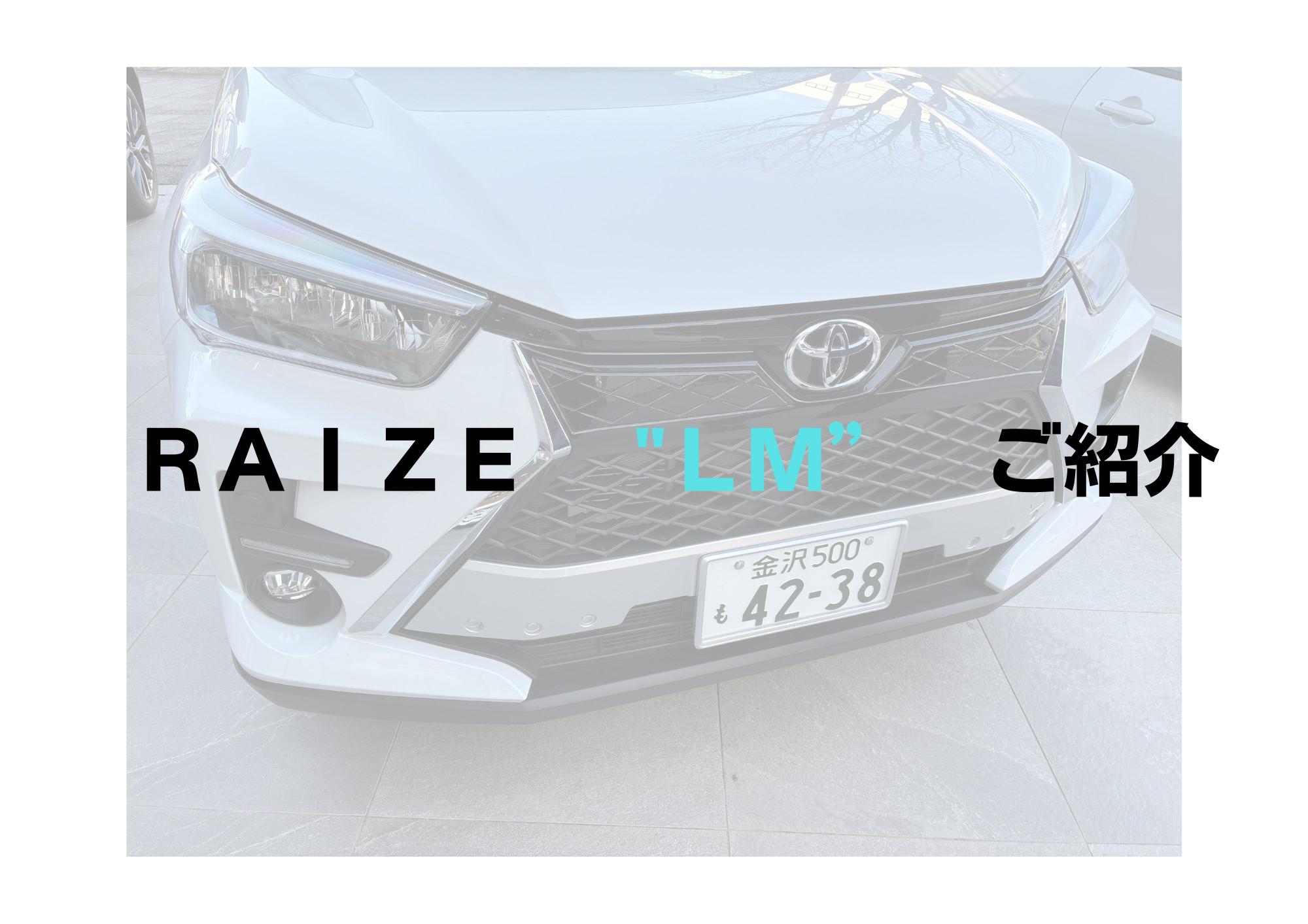 鞍月店】RAIZE ”model LM”のご紹介 | ネッツトヨタ石川
